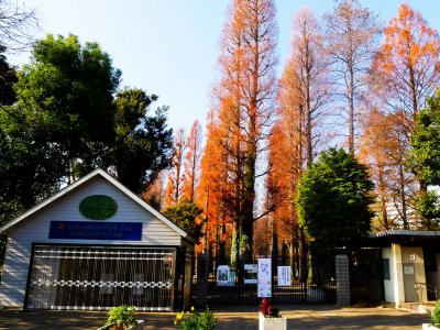 Inokashira Park