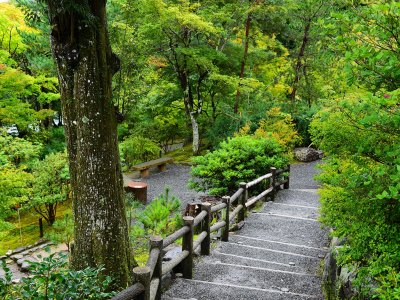 Arashiyama park