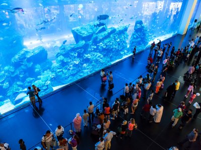 Dubai Aquarium & Underwater Zoo in Dubai
