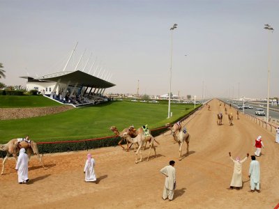 Al Marmoum Camel Race Track in Dubai