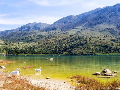 Kournas lake on Crete