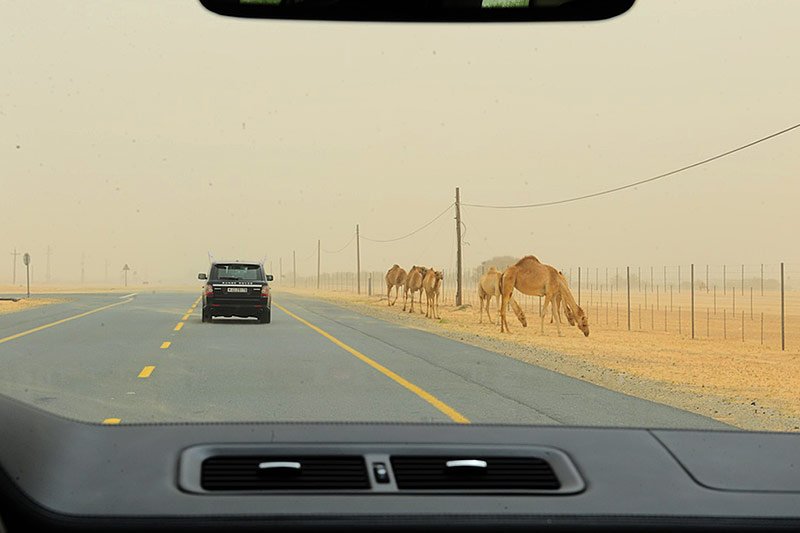 Desert jeep safari, Dubai