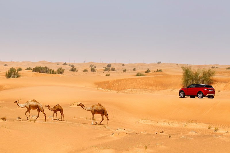 Desert jeep safari, Dubai