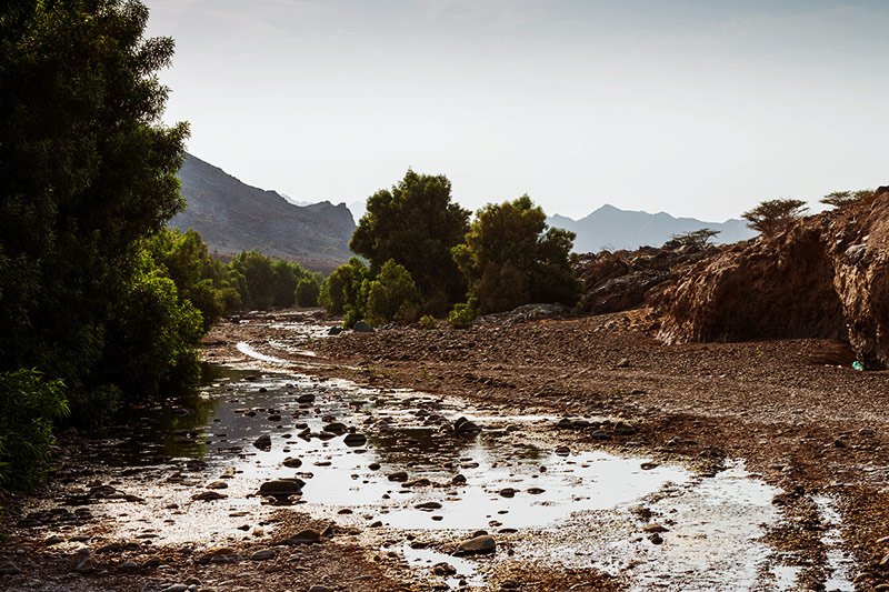 How to try wadi bashing in Dubai