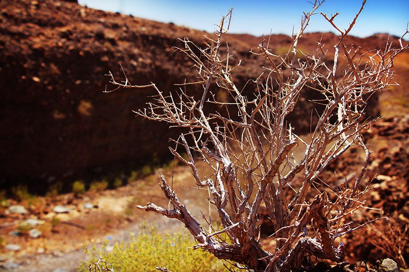 How to try wadi bashing in Dubai