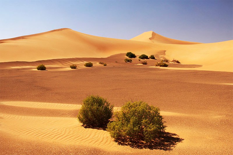 Rub' al Khali desert, Dubai