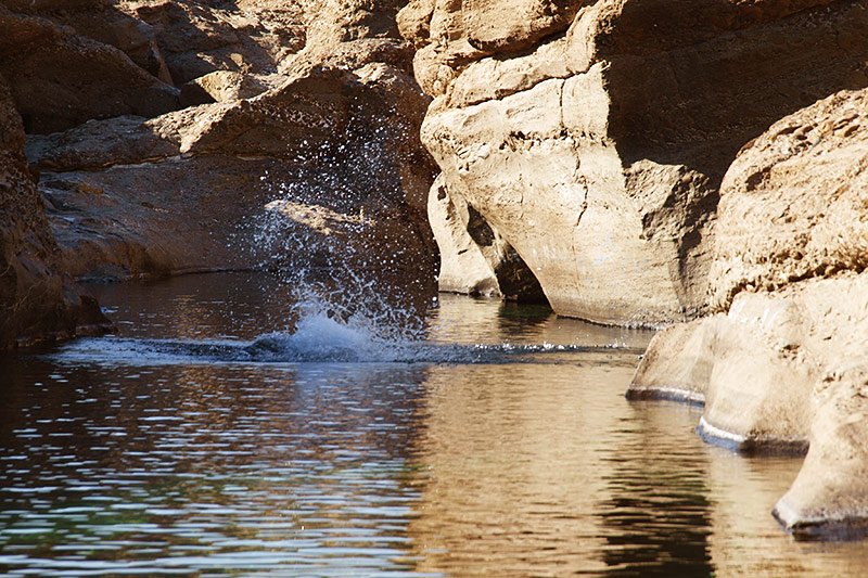 Hatta canyon diving, Dubai