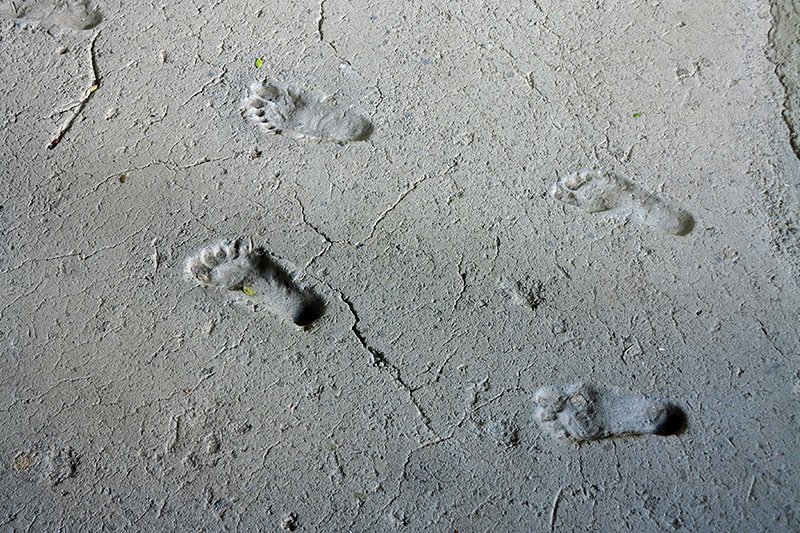 Human prints, Managua