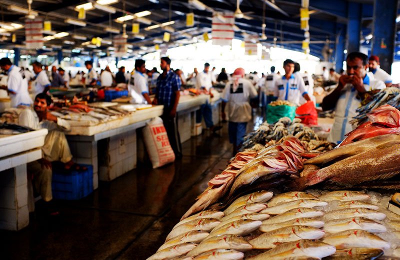 Fish Souk, Dubai