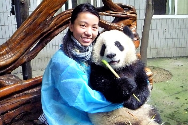Take a pic with panda, Chengdu