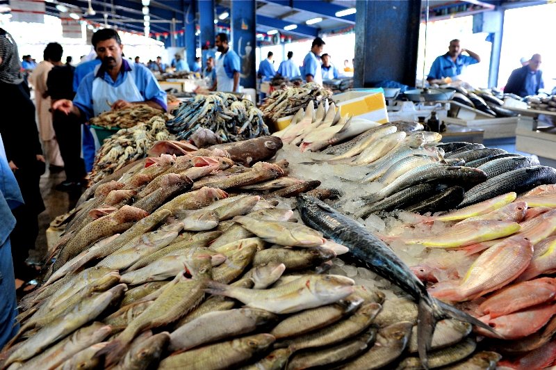 Fish Souk, Dubai