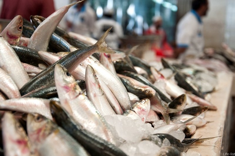 Fish Souk, Dubai