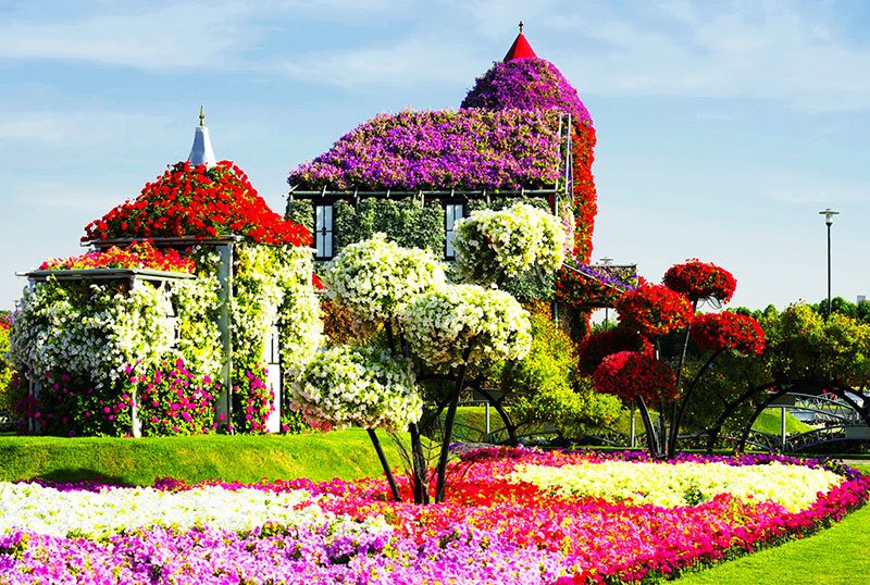 Dubai Miracle Garden, Dubai