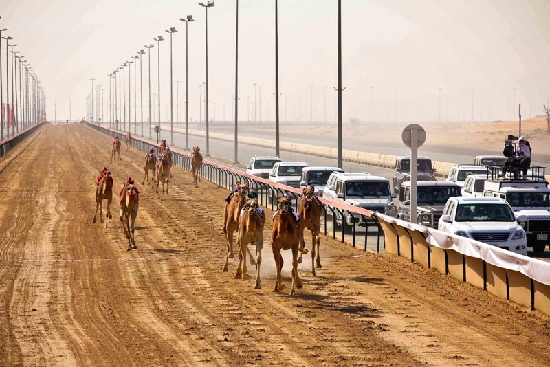 Al Marmoum Camel Race Track, Dubai