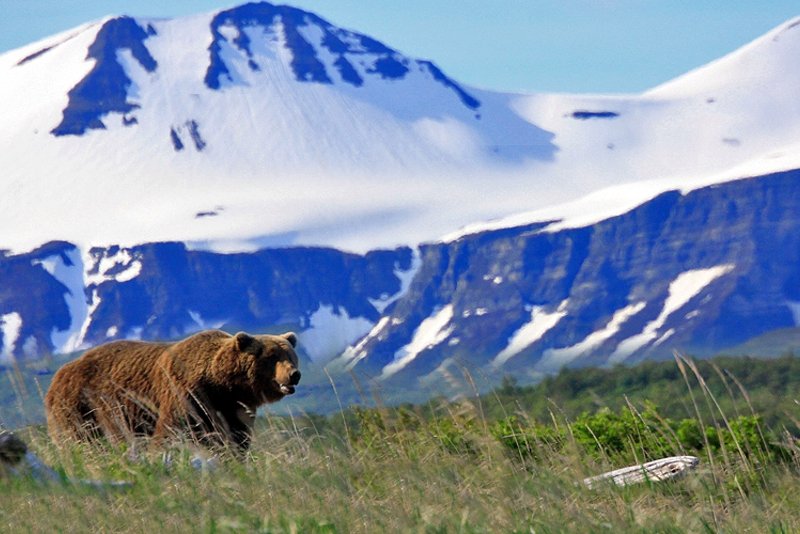 Katmai National Park and Preserve, Anchorage