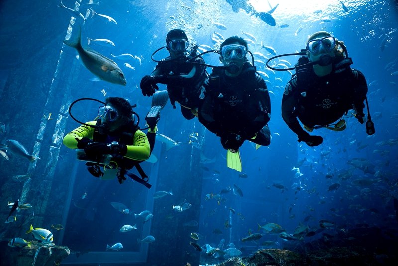 Diving with sharks, Dubai