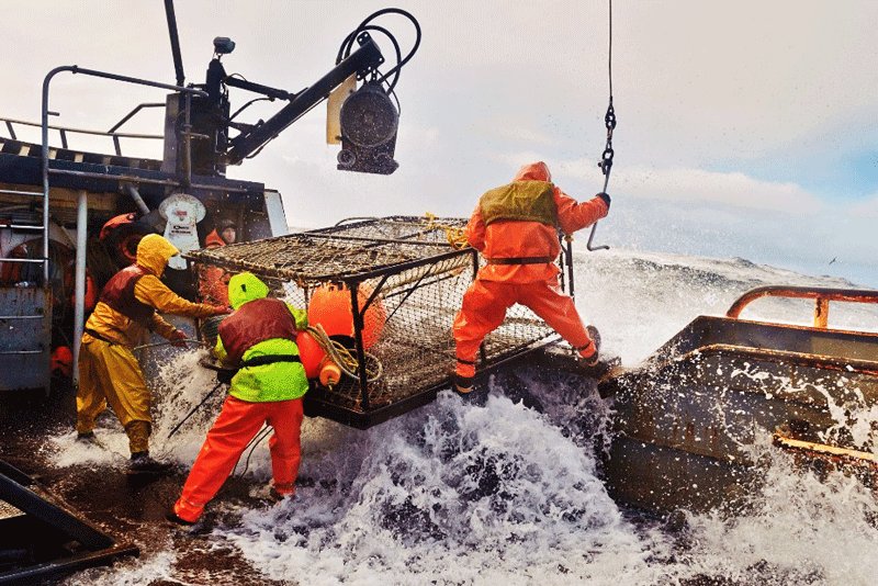 Crab fishing in the Bering Sea., Juneau