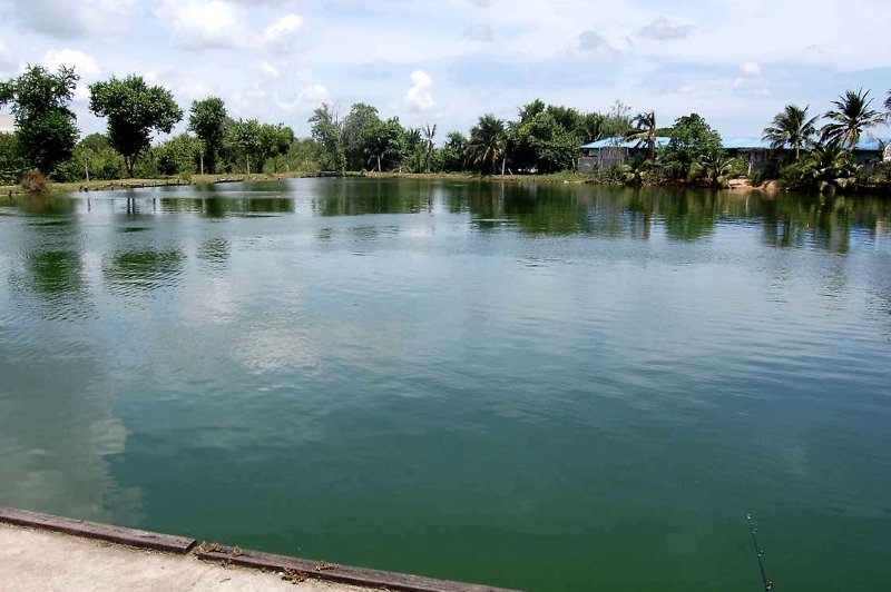 Pattaya Fishing Park, Pattaya