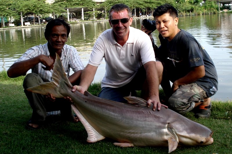 Go fishing for huge catfish, Pattaya