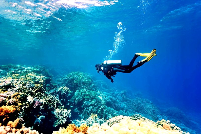 Diving in Teluk Nipah Park, Kuala Lumpur