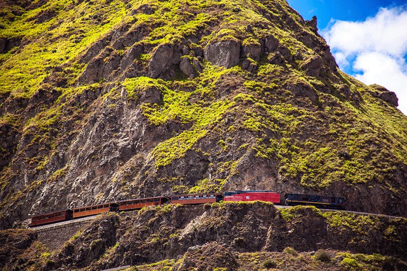 Andes Train, Alausi