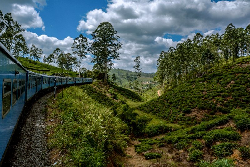 Freight train ride, 