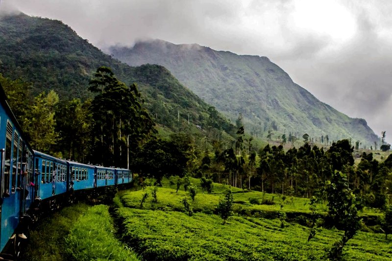 Freight train ride, 