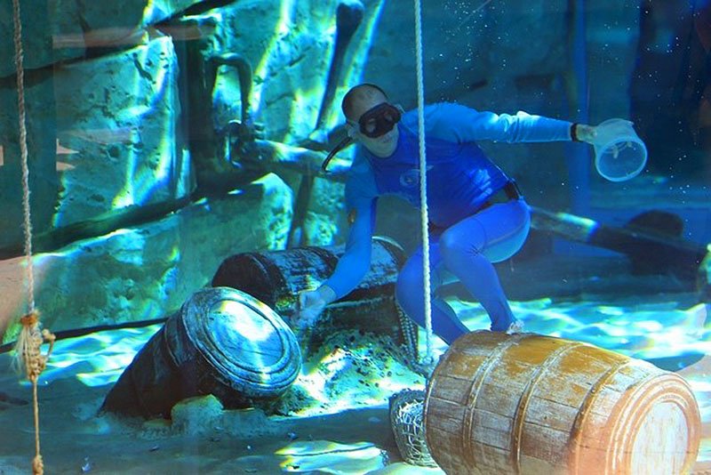 Pearl diver, Abu Dhabi