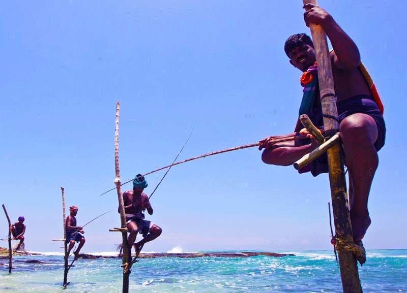 Koggala, The locals would love to teach you fishing on a stilt, Galle