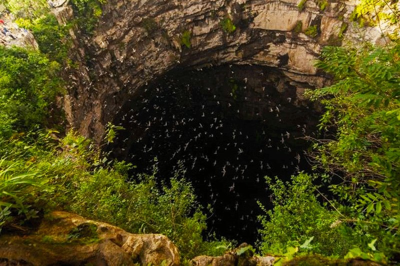 Aquismon, The swallows leave the cave at 12 am and usually back by 4 pm, San Luis Potosi