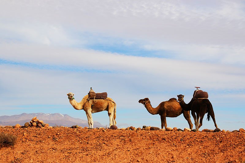 , Marrakesh