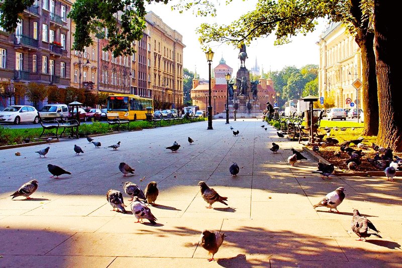 Here is The Grunwald Monument in the middle of the square, Krakow