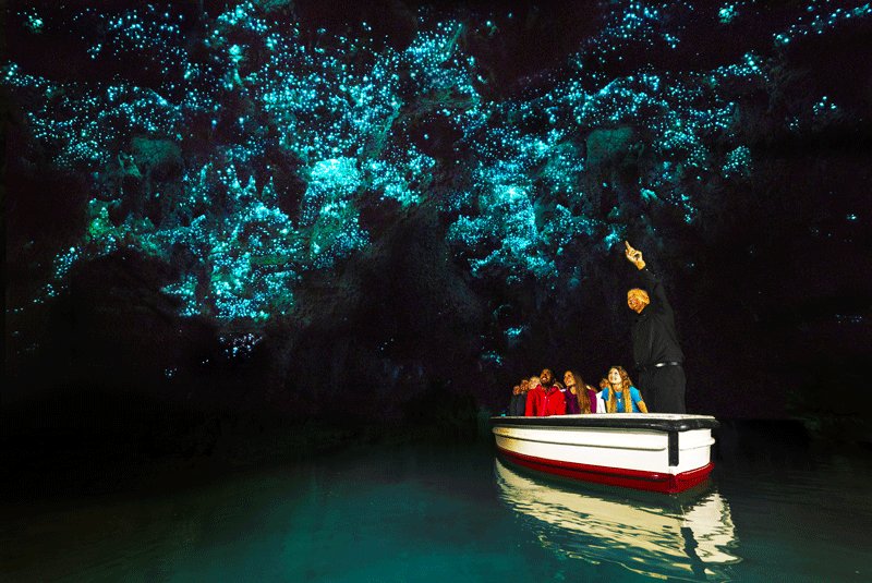 Waitomo Glowworm Cave, Hamilton
