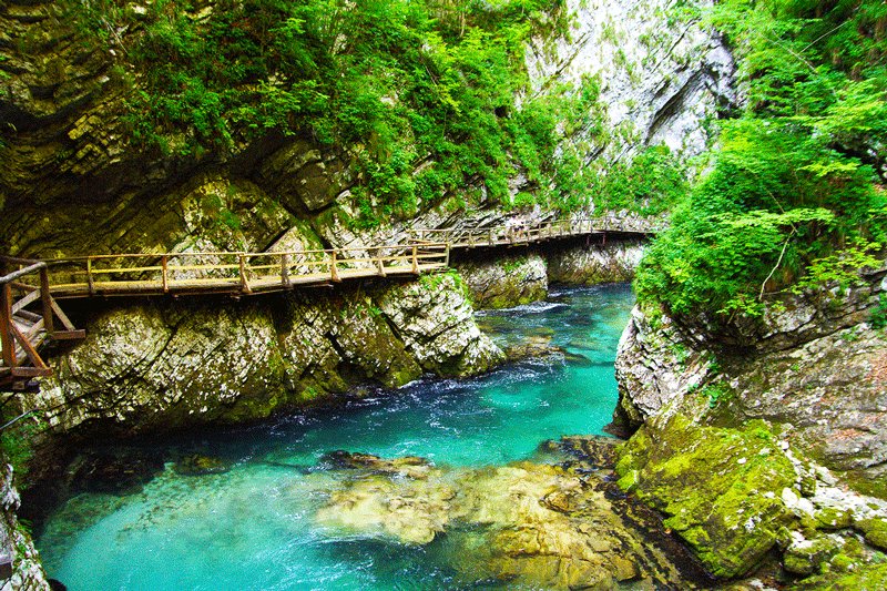 Path over the Radovna River, Ljubljana