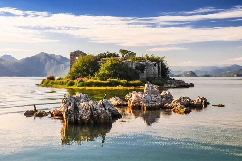 An island on the Skadarsk lake, Bar