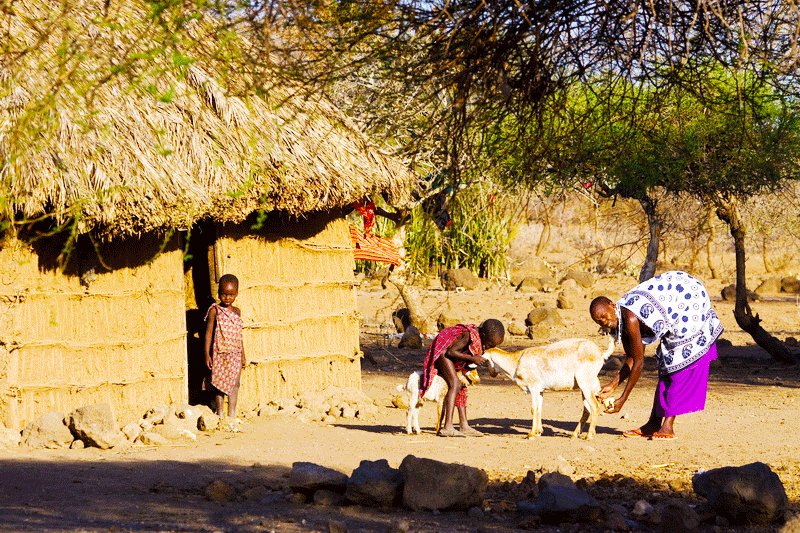 Maasai village, Arusha