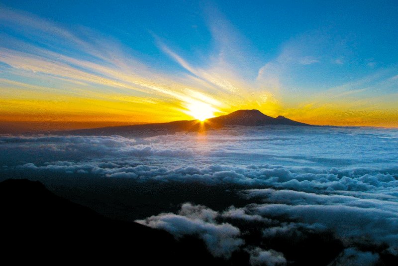 Sunrise over Kilimanjaro, Arusha