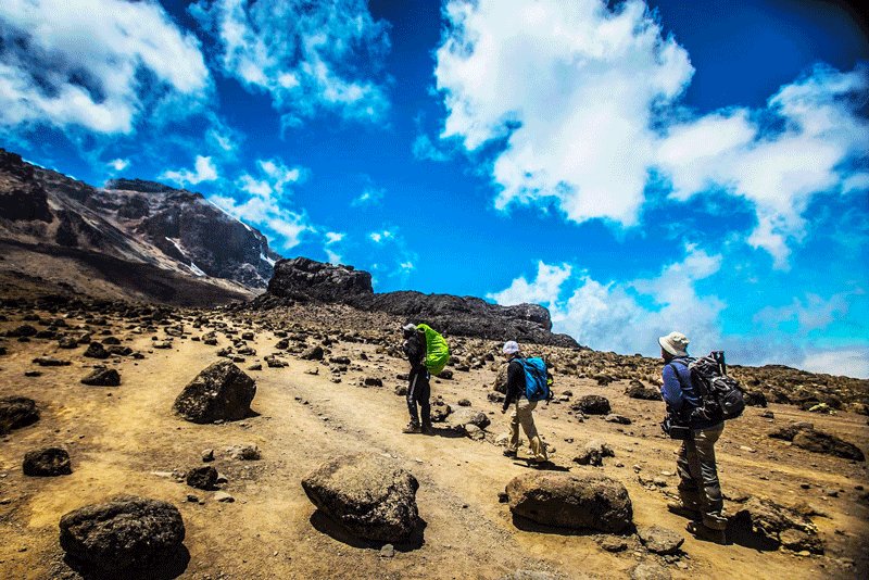 Kilimanjaro climbing, Arusha