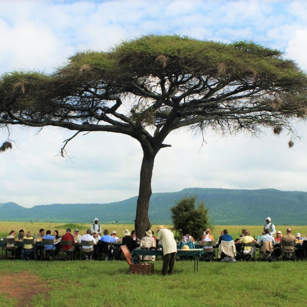 Breakfast in Serengeti park, Arusha