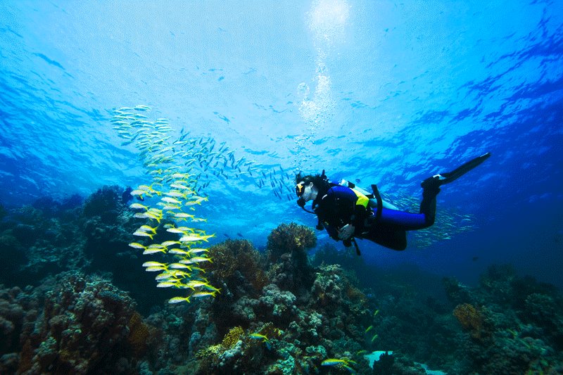 Diving on Gran Roque island, Caracas