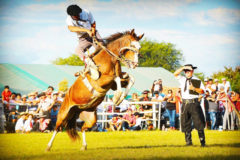 Gaucho, Tacuarembo