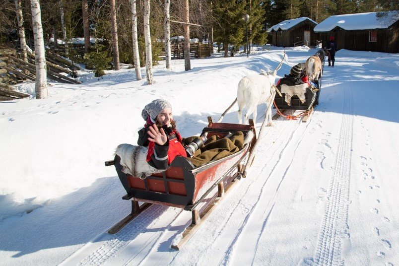 Reindeer safari, Rovaniemi