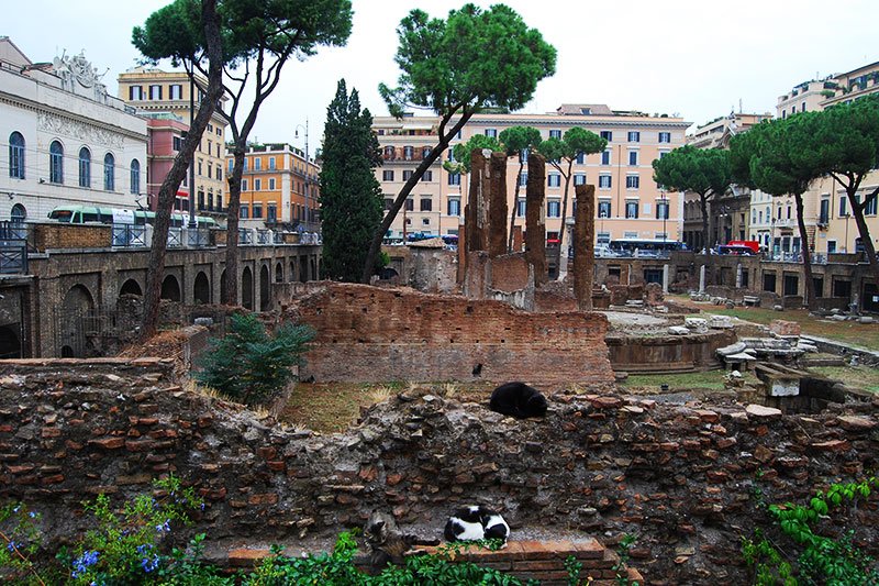 Torre Argentina Cat Sanctuary