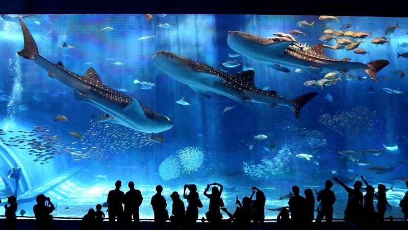 Aquarium in Barcelona