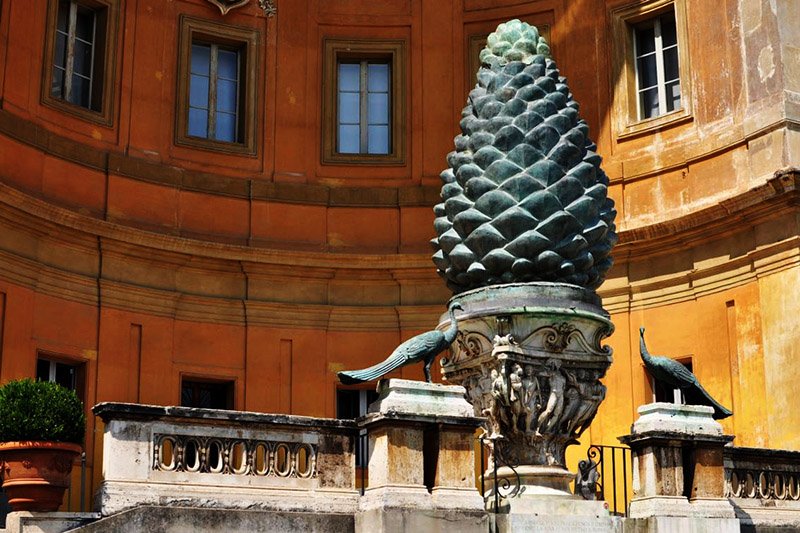 Conifer cone