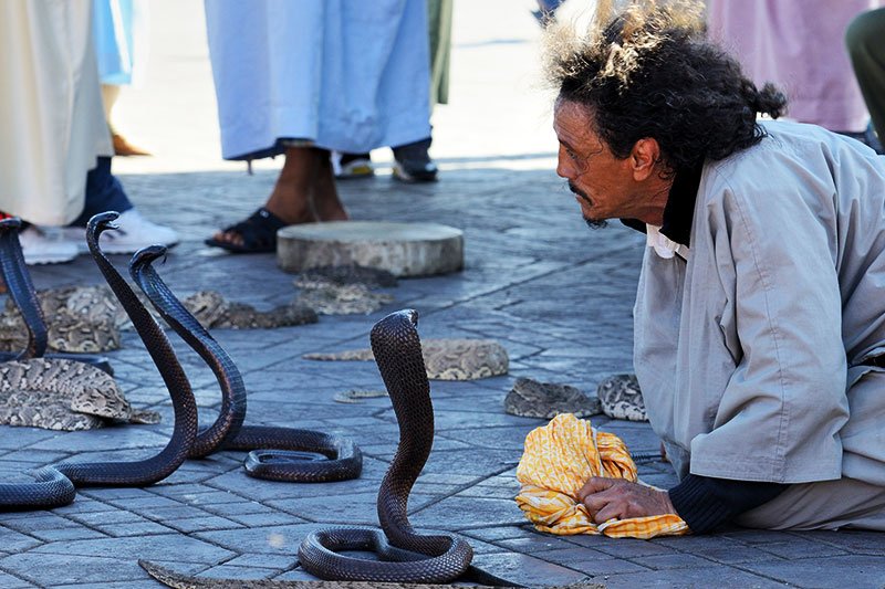 Snake charmer