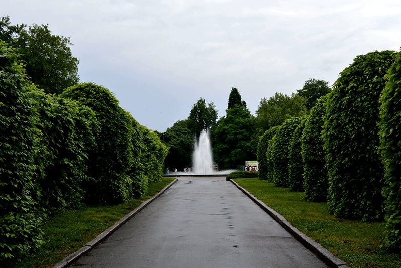 The fountain in the botanical garden, Kiev