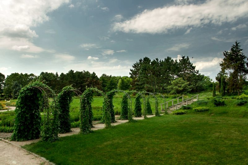 Botanical Garden, Kiev