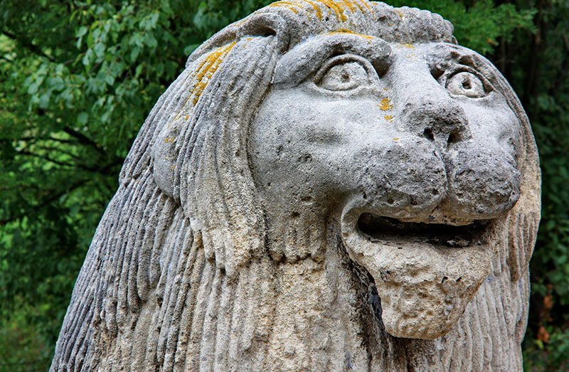 Smiling lion, Lviv