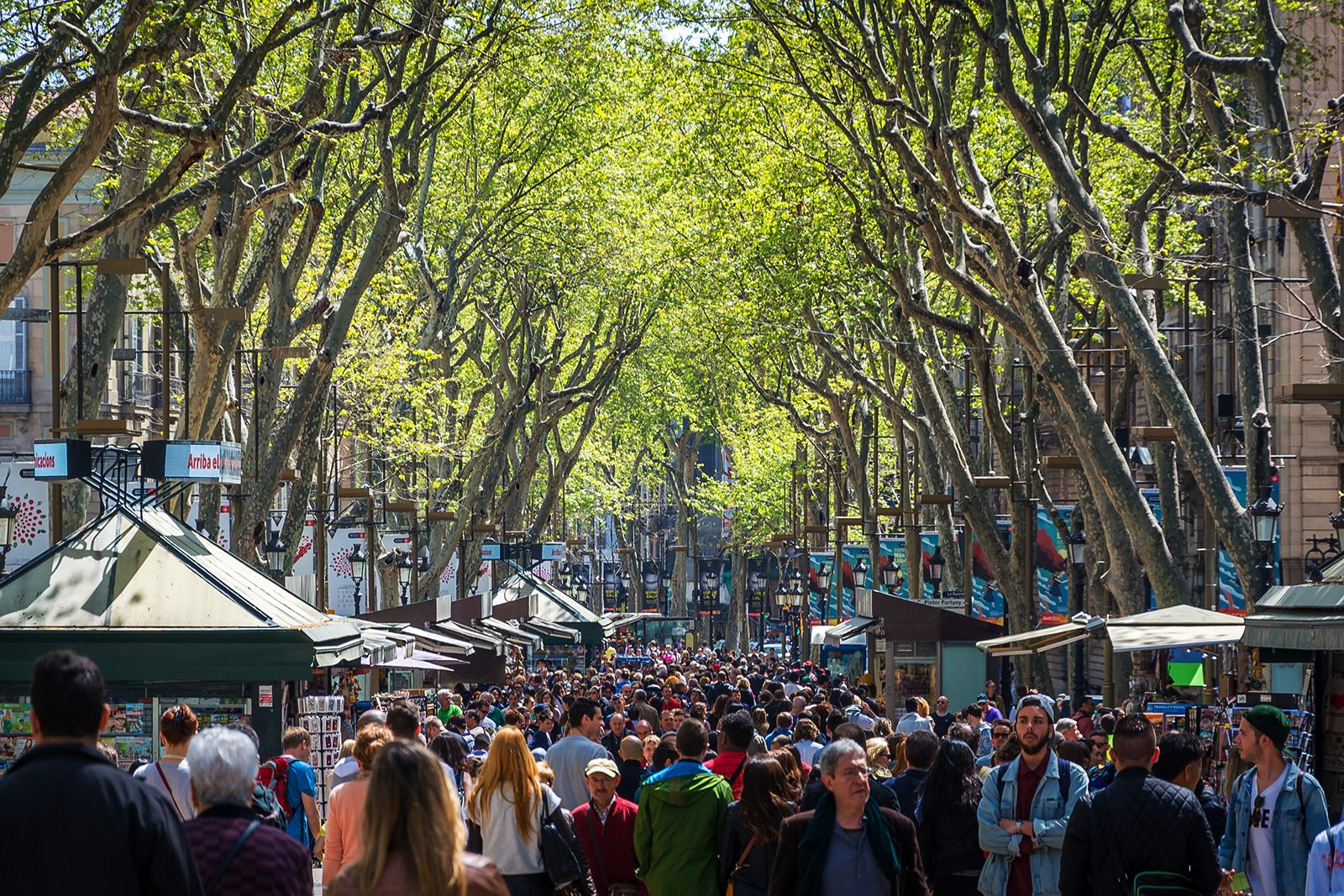 How to take a walk through La Rambla in Barcelona